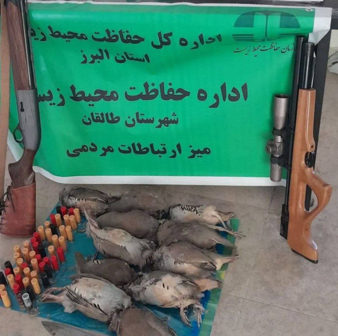 دستگیری شکارچیان کبک در طالقان با ۱۱ لاشه!